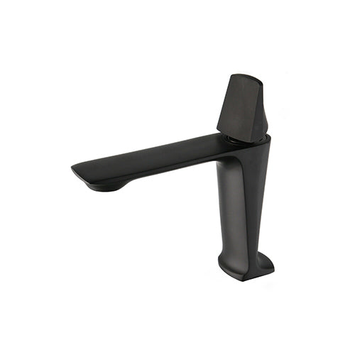 Modern black faucet