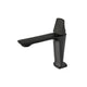 Modern black faucet