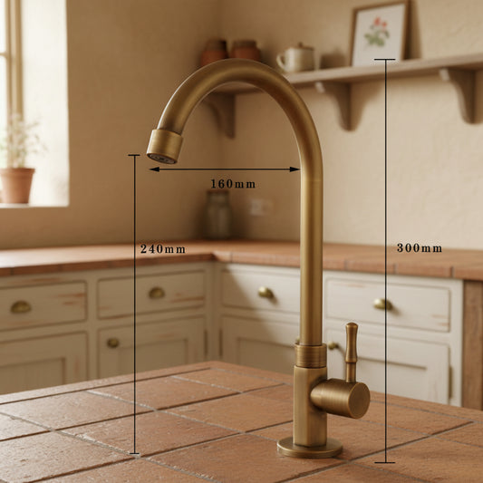Badique bronzen koudwaterkraan met draaibare hals