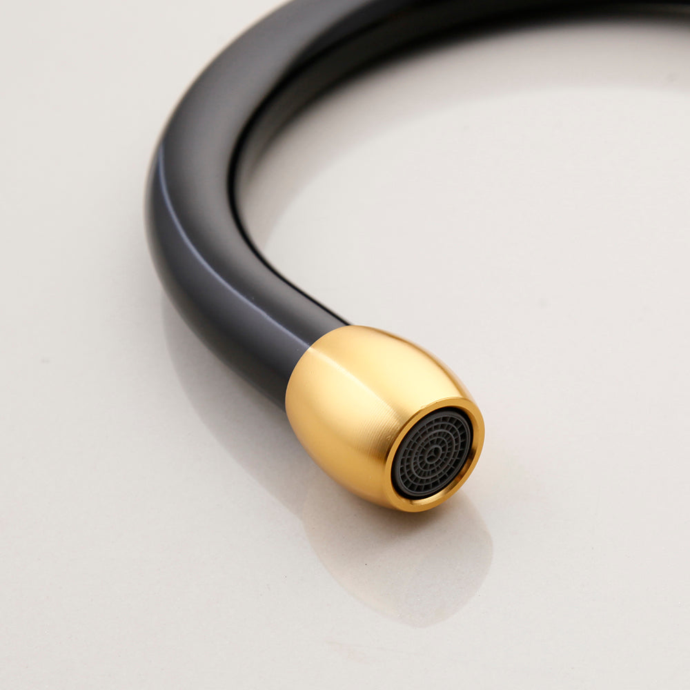Black and gold kitchen faucet