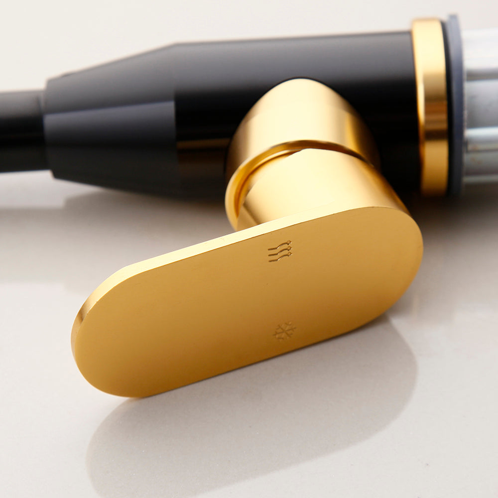Black and gold kitchen faucet