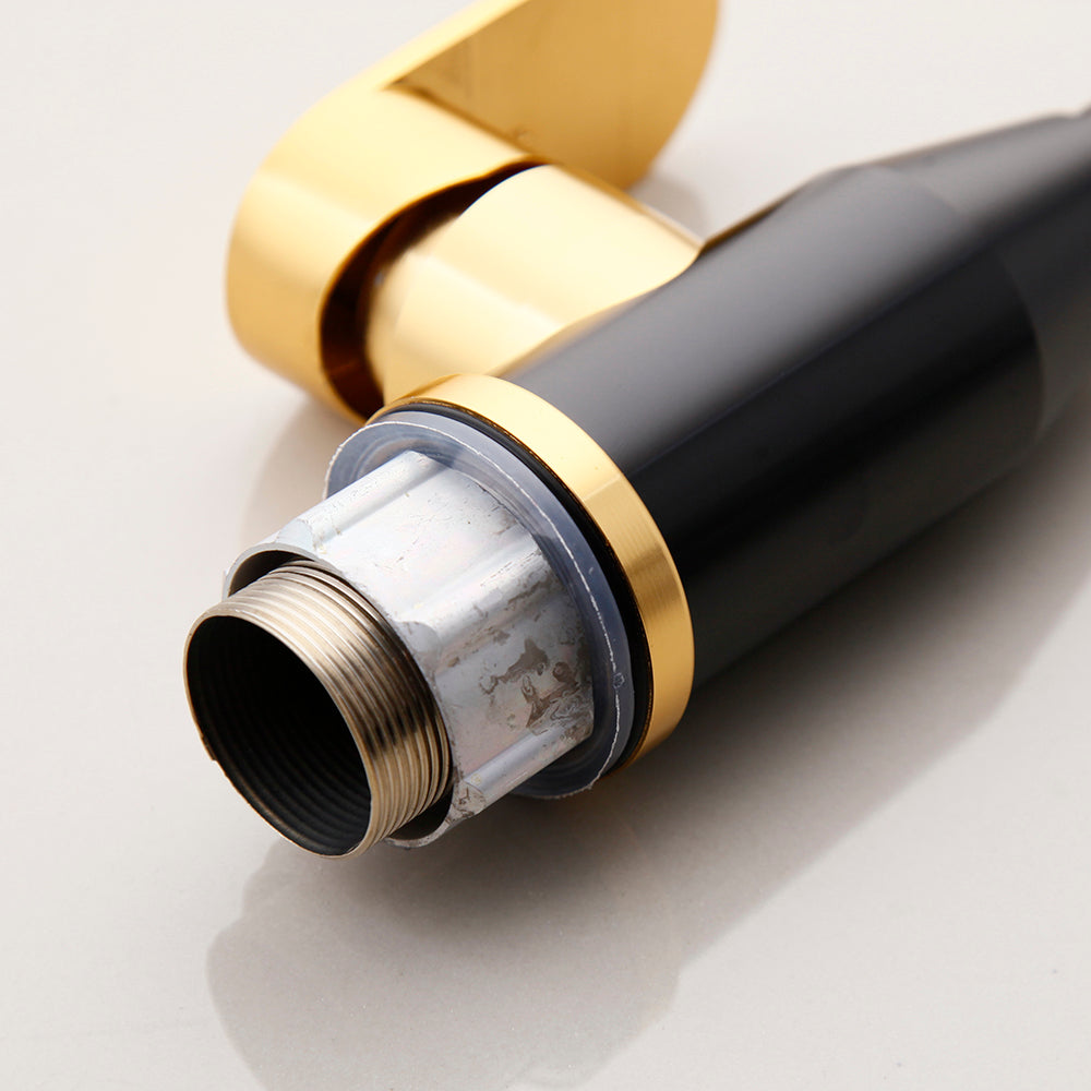 Black and gold kitchen faucet
