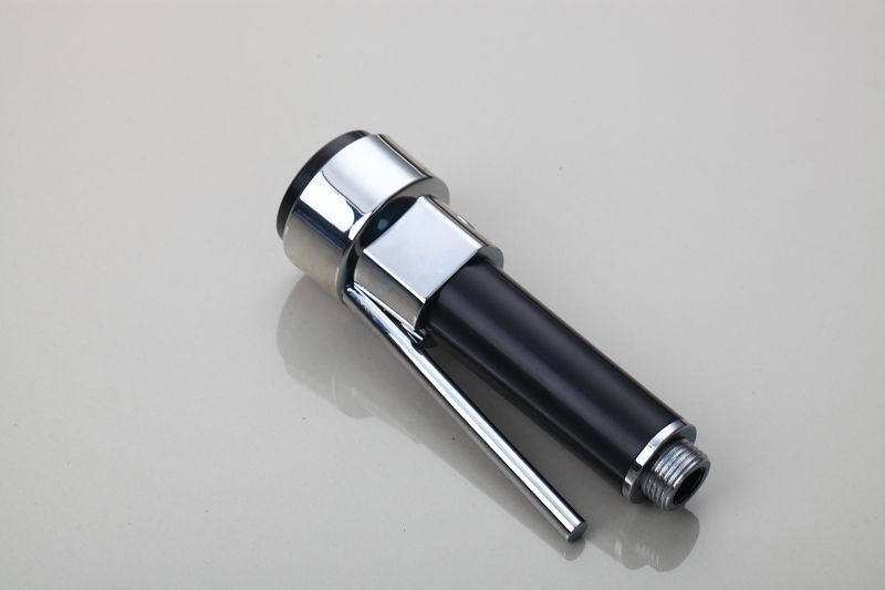 Chrome black spray head