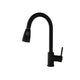 Matte black kitchen faucet