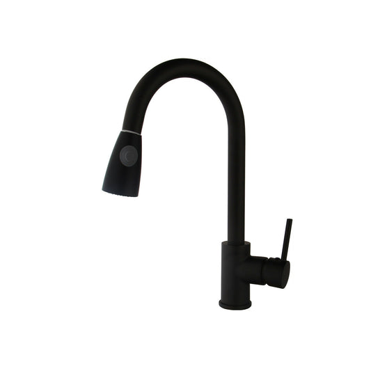 Matte black kitchen faucet