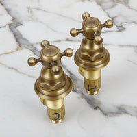 Bronze-colored built-in shower