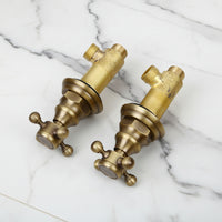 Bronze-colored built-in shower