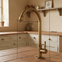 Badique bronzen koudwaterkraan met draaibare hals