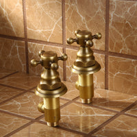 Antique bronze built-in shower