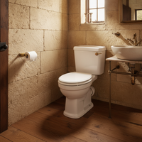 bronze-colored toilet roll holder