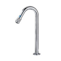 Koudwater fonteinkraan chroom – bediening aan de uitloop