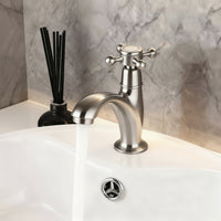 Nostalgische geborsteld nikkel koudwaterkraan