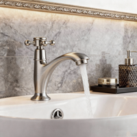 Nostalgische geborsteld nikkel koudwaterkraan