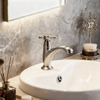 Nostalgische geborsteld nikkel koudwaterkraan