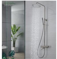 Brushed nickel shower set thermostatic