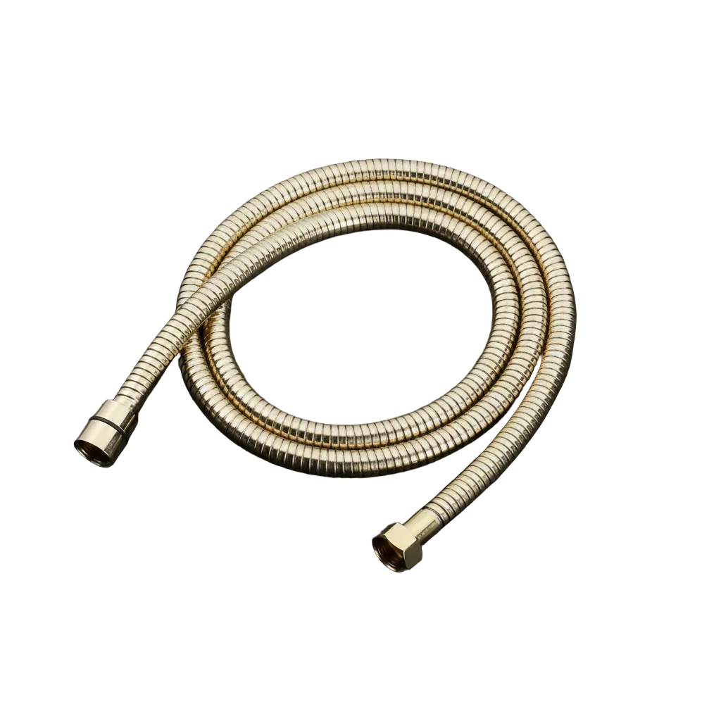 Gouden doucheslang 2 meter RVS