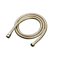 Gouden doucheslang 2 meter RVS