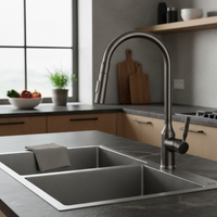 Elegant Gun Metal kitchen faucet with pull-out spray head