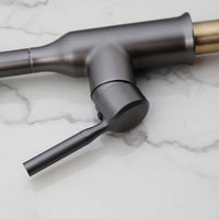 Elegant Gun Metal kitchen faucet with pull-out spray head