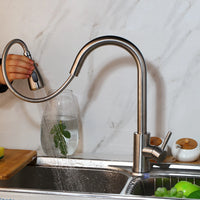 Geborsteld nikkel keukenkraan met uittrekbare sproeikop