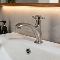 Nostalgische geborsteld nikkel koudwaterkraan