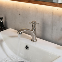 Nostalgische geborsteld nikkel koudwaterkraan