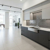 Landelijke Nostalgische Keukenkraan in Chroom