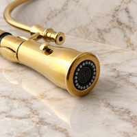 Robinet de cuisine rustique de luxe Malvizza