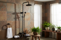 Klassische Ölbronzedusche