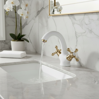 Badique Witte Wastafelkraan met Gouden Details