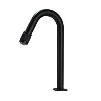 Zwarte fontein kraan – koud water – hoogte 21 cm (uitloop 10 cm)