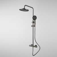 Gun Metal Thermostatische Regendouche