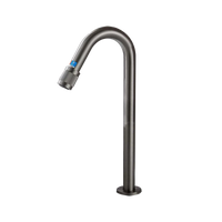 Gun metal koudwater fonteinkraan – bediening aan de uitloopGun metal koudwater fonteinkraan – bediening aan de uitloop